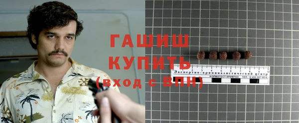 гашик Снежногорск