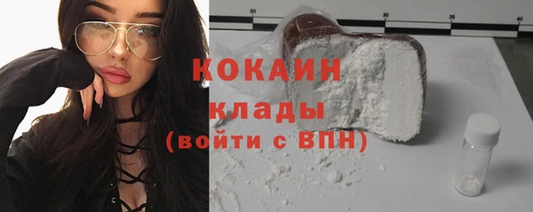 шишки Снежинск