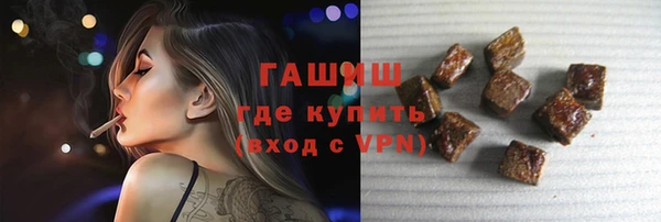 гашик Снежногорск