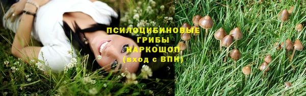 шишки Снежинск
