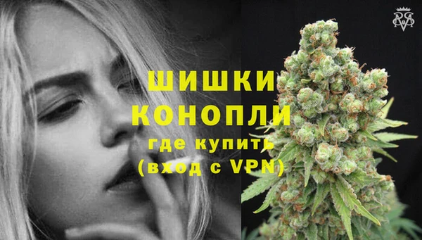 гашик Снежногорск
