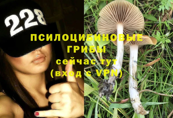 шишки Снежинск