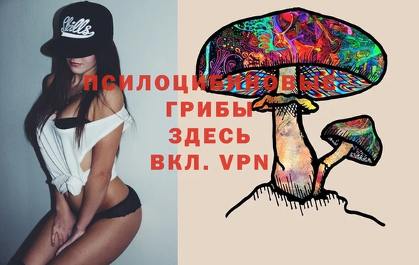 гашик Снежногорск