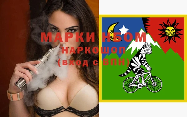 гашик Снежногорск