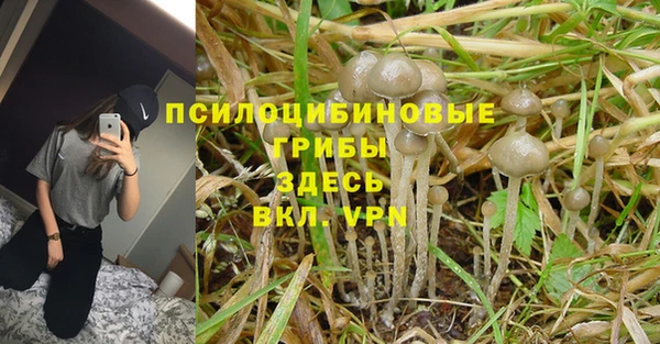 шишки Снежинск