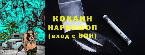 шишки Снежинск