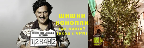 шишки Снежинск