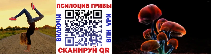 Псилоцибиновые грибы MAGIC MUSHROOMS  магазин продажи наркотиков  Теберда 